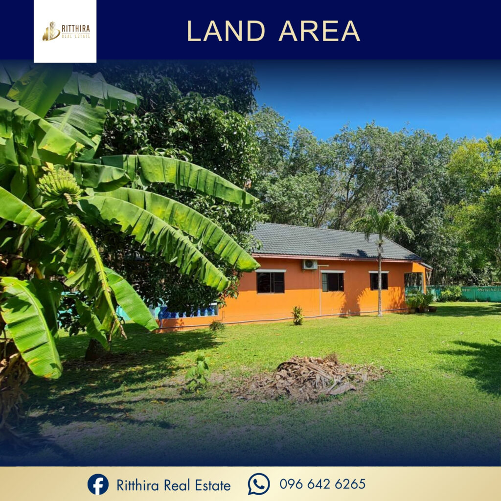 619547239 122158652360825233 3879042144336927544 n